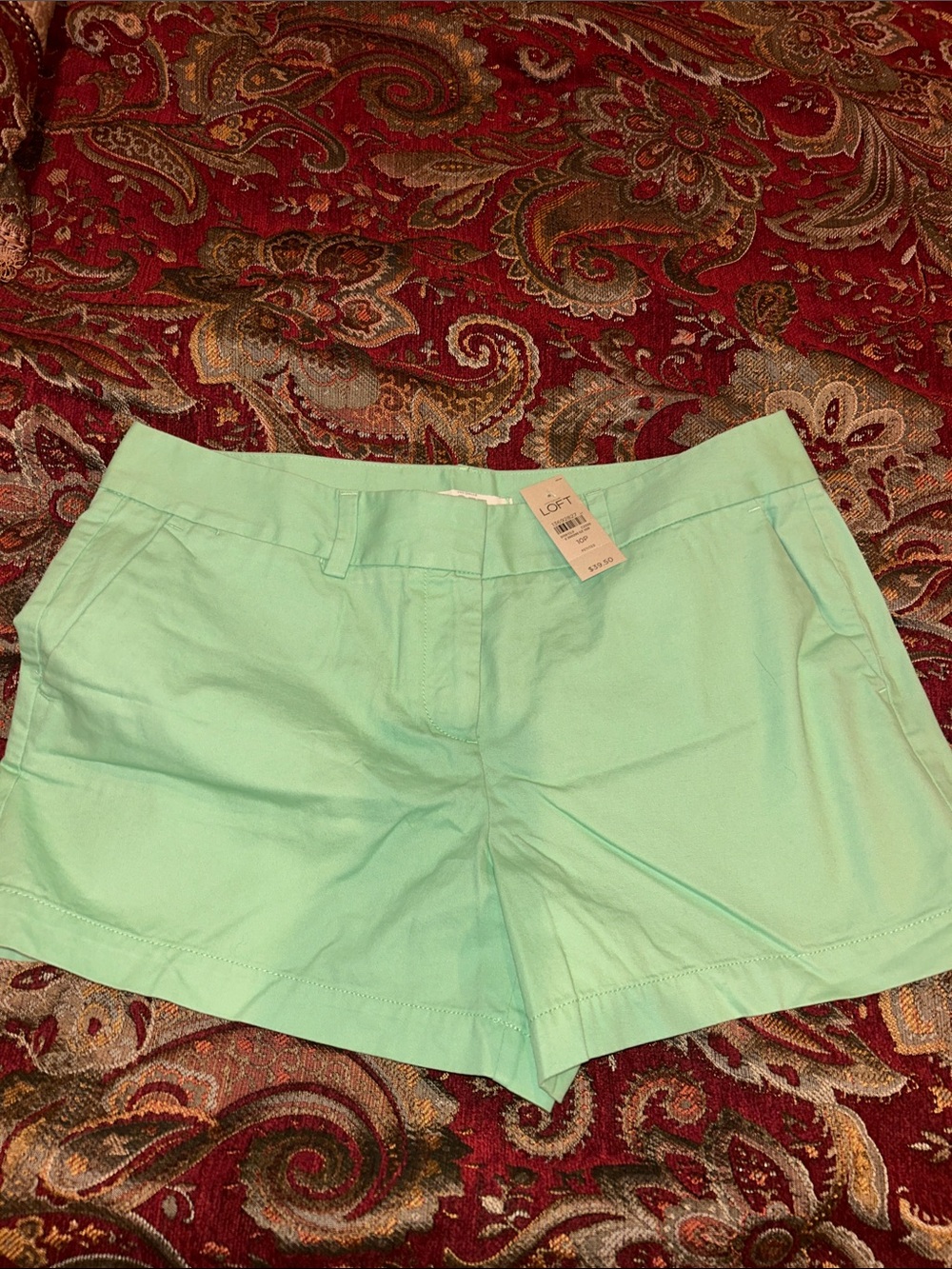 LOFT Mint Green Women's Casual Shorts